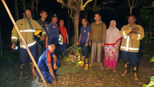 Tim Unit Reaksi Cepat Damkar Sumenep Usai Evakuasi Monyet di Desa Gedang-Gedang Kecamatan Batuputih 