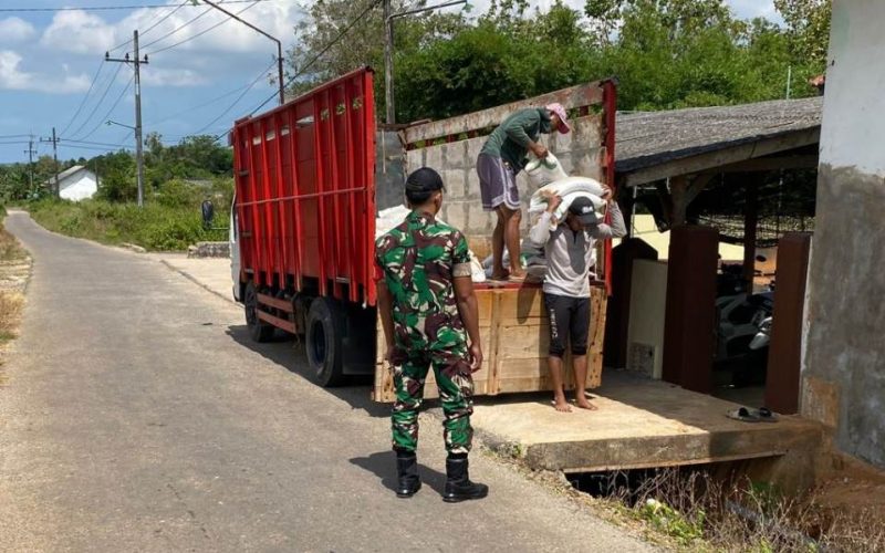 Bersinergi untuk Rakyat, TNI Kawal Penyaluran 1,9 Ton Beras ke Warga Desa Gelugur