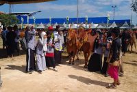 Festival Sapi Sonok 2025, Tradisi Madura Berpadu UMKM Bangkitkan Wajah Baru Sumenep