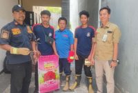 Evakuasi Menegangkan! Rat Snake Ditemukan di Tengah Pemukiman Warga Pangarangan

