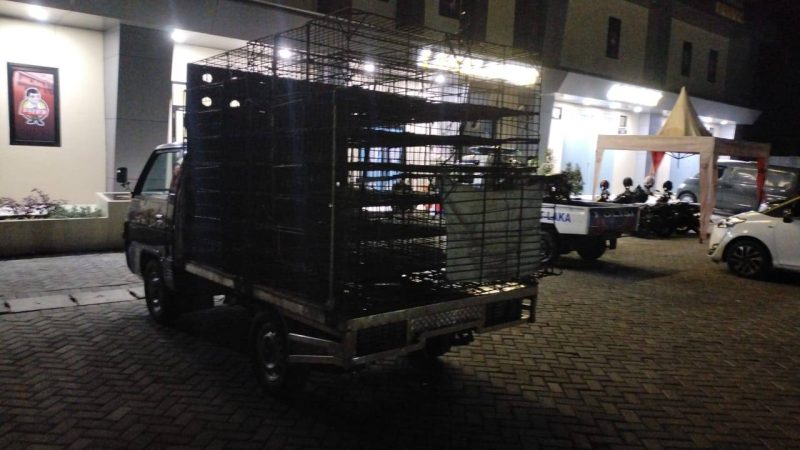Mobil Yang Digunakan Pelaku Tabrak Lari di Simpang Tiga Mastasek