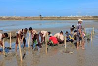 SMK Kemaritiman Nasyrul Ulum Tegaskan Identitas Lewat Aksi Tanam Mangrove Bersama KOSA Indonesia
