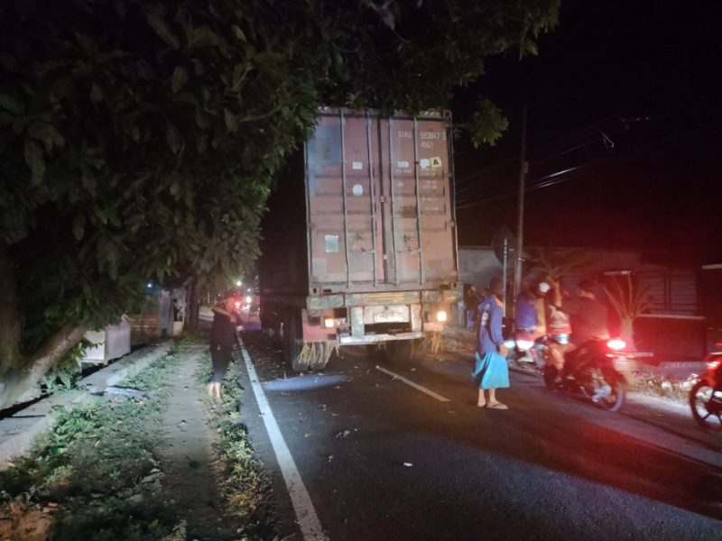 Truk Trailer Tersangkut Pohon Mangga di Jalan Raya Gapura Paberasan, Arus Lalu Lintas Menuju Kota Sumenep Tersendat