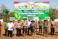 Langkah Serentak untuk Negeri, Forkopimda Sumenep Tanam Jagung Demi Kedaulatan Pangan