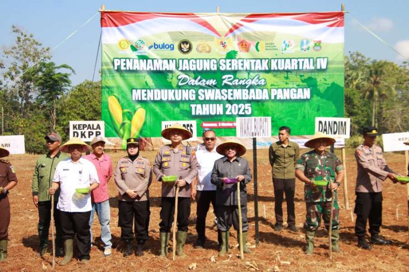 Langkah Serentak untuk Negeri, Forkopimda Sumenep Tanam Jagung Demi Kedaulatan Pangan