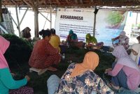 Program KOSABANGSA 2025 Dongkrak Produktivitas Rumput Laut hingga 60%, Teknologi Rotary Bucket Perkuat Petani Pesisir Sumenep