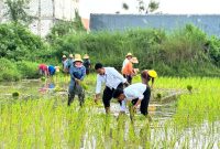 Awal 2026, Rutan Sumenep Wujudkan Kemandirian Pangan Warga Binaan Lewat Pertanian Produktif