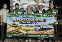 Bulog Serap 5,3 Ton Gabah Petani Pragaan, Harga Dijamin Rp6.500/Kg