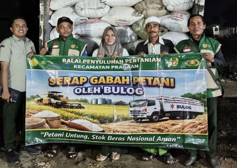 Bulog Serap 5,3 Ton Gabah Petani Pragaan, Harga Dijamin Rp6.500/Kg
