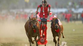 Sang Legenda Kerapan Sapi Madura: Indrajit & Roket