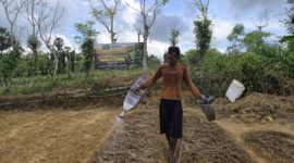 APTI Sumenep Gandeng PT Djarum, Bagikan Bibit Tembakau Unggul Gratis ke Petani