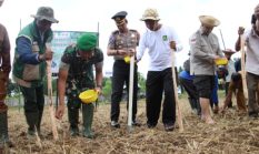 Hadapi El Nino, Kapolres Sumenep Gerakkan Percepatan Tanam Padi dan Jagung