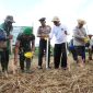 Kapolres Sumenep Turun ke Sawah, Pimpin Percepatan Tanam Hadapi Ancaman El Nino