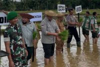 Aksi Danyon 931 Ksatria Joko Tole Tanam Padi di Batang-Batang Sumenep Jadi Sorotan