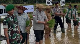 Aksi Danyon 931 Ksatria Joko Tole Tanam Padi di Batang-Batang Sumenep Jadi Sorotan