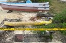Penemuan Benda Misterius Mirip Torpedo Gegerkan Kangean, Polisi Bergerak Cepat Amankan Lokasi