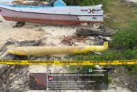 Penemuan Benda Misterius Mirip Torpedo Gegerkan Kangean, Polisi Bergerak Cepat Amankan Lokasi