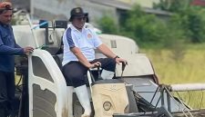 Karutan Sumenep Aditya Saat Memanen Padi 