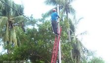 Petugas PLN Sedang Melakukan Perbaikan 