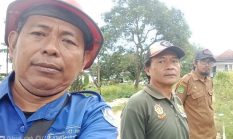 Sehari Tiga Laporan Darurat: Damkar Sumenep Evakuasi Kera Liar hingga Sarang Tawon, Warga Diminta Waspada