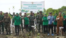 Kodim Sumenep Tanam 3.500 Mangrove di Pesisir Saronggi, Bentengi Pantai dari Abrasi, Senin (24/05/2026)