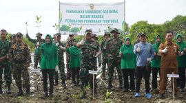 Kodim Sumenep Tanam 3.500 Mangrove di Pesisir Saronggi, Bentengi Pantai dari Abrasi, Senin (24/05/2026)