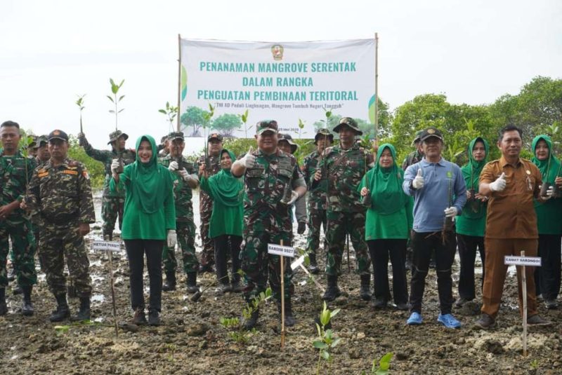 Kodim Sumenep Tanam 3.500 Mangrove di Pesisir Saronggi, Bentengi Pantai dari Abrasi, Senin (24/05/2026)