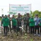 Kodim Sumenep Tanam 3.500 Mangrove di Pesisir Saronggi, Bentengi Pantai dari Abrasi, Senin (24/05/2026)
