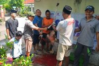 R.K.R.G. Gus Kurniadi H.P. Kusumo (Baju Biru) Bersama Relawan Saat Proses Penyembelihan Hewan Kurban