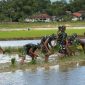 Prajurit Yonif TP Kompi Pertanian Turun ke Sawah, Ringankan Beban Petani di Desa Gunggung Sumenep