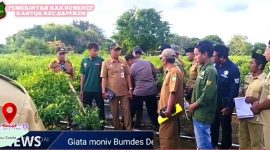 Plt Camat Sapeken Hamka, S.Pi, M.AP Tinjau DD 2025/2026 dan Aktivitas BUMDes di Desa Sakala