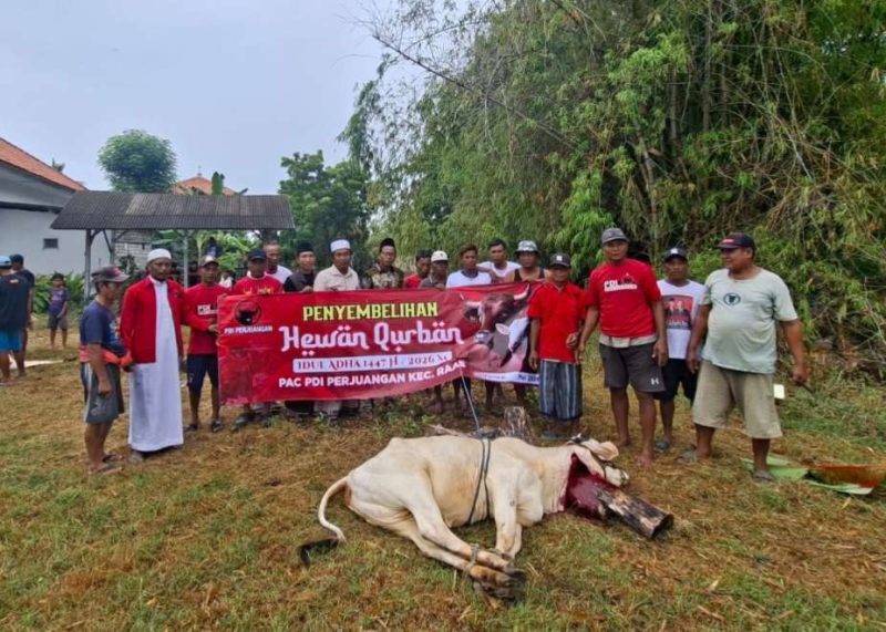 Semangat Berbagi di Hari Raya, PAC PDI-P Raas Salurkan Hewan Kurban untuk Masyarakat