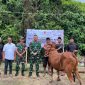 Yonif TP 931/KJ Sumenep Tebar Kepedulian di Iduladha 1447 H, Perkuat Kedekatan TNI dan Masyarakat, Kamis (28/05/2026)
