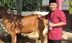 Iduladha 1447 Hijriah, Pemerintah Kecamatan Dasuk Perkuat Kebersamaan dan Kepedulian Melalui Kurban