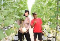 Kabag SDM Polres Sumenep, Kompol Widiarti S.H., Meninjau inovasi pertanian berbasis teknologi atau smart farming di Desa Kasengan, Jum'at (29/05/2026)