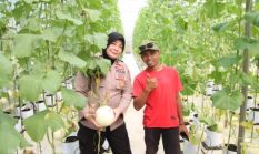 Dukung Ketahanan Pangan, Polres Sumenep Apresiasi Inovasi Smart Farming Petani Milenial Kasengan