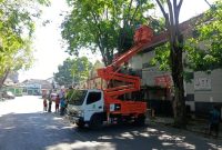 Tim Satgas DLH Sumenep Saat Melakukan Pemangkasan Pohon di Jalan Sisi Barat MPP Sumenep, Kamis (11/06/2026)
