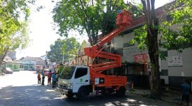 Tim Satgas DLH Sumenep Saat Melakukan Pemangkasan Pohon di Jalan Sisi Barat MPP Sumenep, Kamis (11/06/2026)