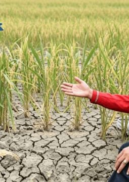 Hadapi Musim Kemarau 2026, Bupati Achmad Fauzi Resmi Berlakukan Siaga Darurat Kekeringan