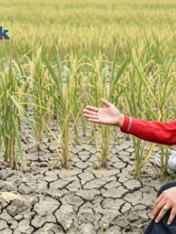 Hadapi Musim Kemarau 2026, Bupati Achmad Fauzi Resmi Berlakukan Siaga Darurat Kekeringan