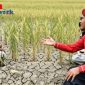 Bupati Sumenep Dr H Achmad Fauzi Wongsojudo SH MH 