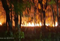 Lahan Kebakaran di Desa Pakandangan Sangrah, Kamis (06/08/2026)