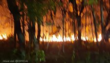 Lahan Kebakaran di Desa Pakandangan Sangrah, Kamis (06/08/2026)